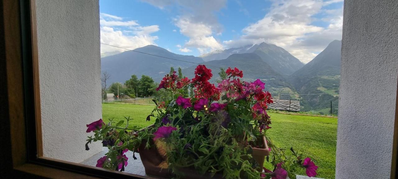 Lo Noyer Et Les Roses Bed & Breakfast Saint Nicolas Exterior foto