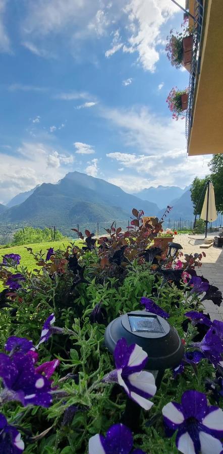Lo Noyer Et Les Roses Bed & Breakfast Saint Nicolas Exterior foto